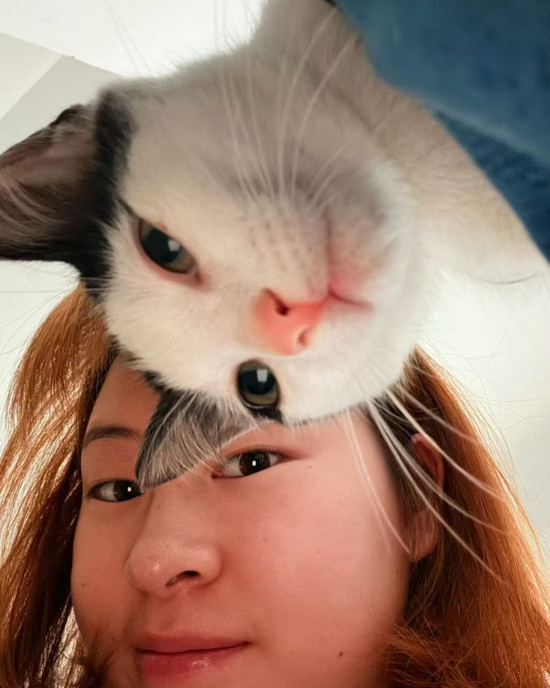 李瑞琪